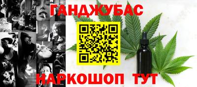 гашик Можга