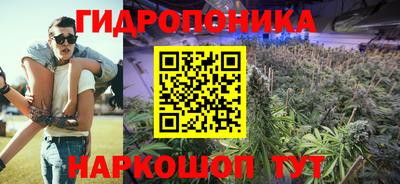 гашик Можга