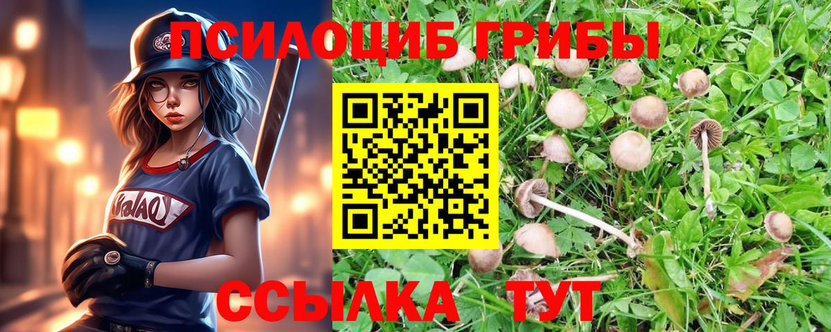 Псилоцибиновые грибы Cubensis Верхняя Салда