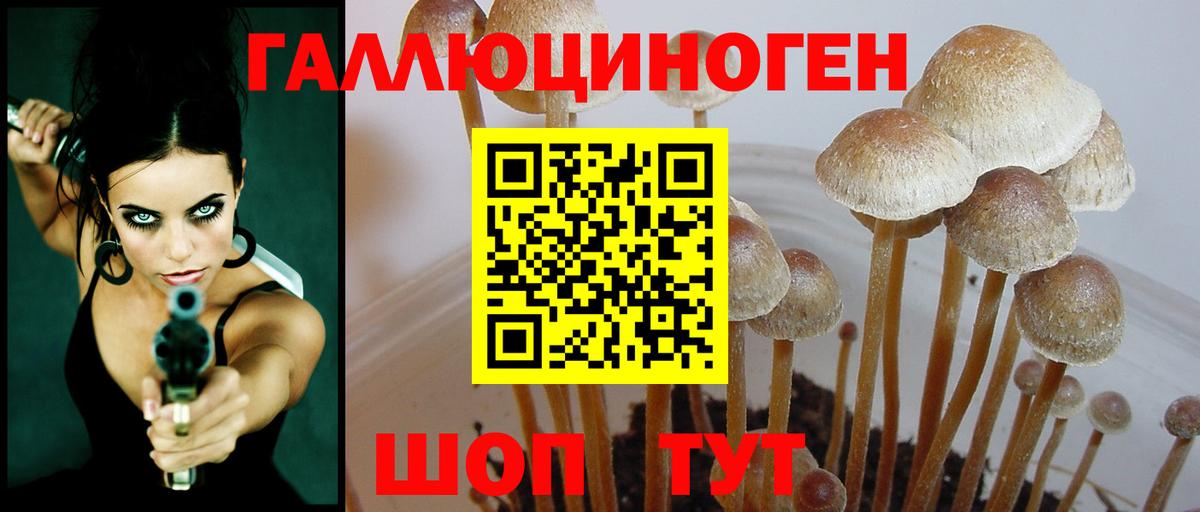 Верхняя Салда  Галлюциногенные грибы мухоморы  Галлюциногенные грибы MAGIC MUSHROOMS  наркотики  Вход с VPN 